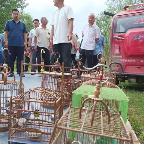 【长安区秦保局】林保中心与多部门联合开展周末早市“护鸟”行动
