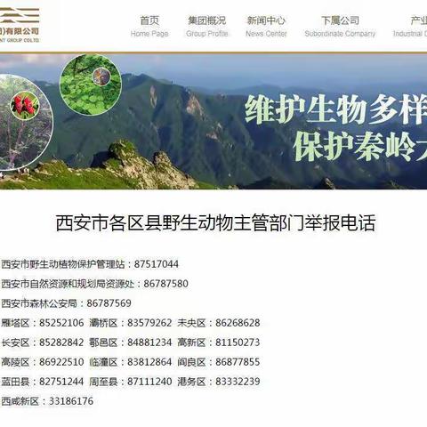 西安市野生动物救助电话（转发）