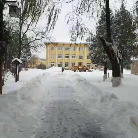 风雪无情 汤医有爱