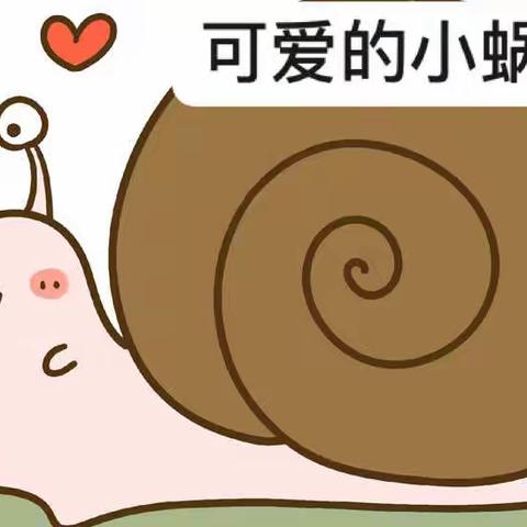 蜗牛🐌观察日志