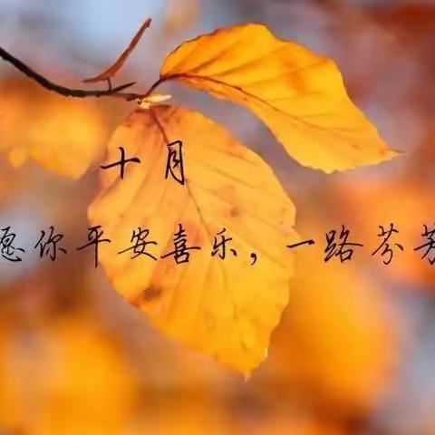 四季花园生活服务中心10月份工作简报