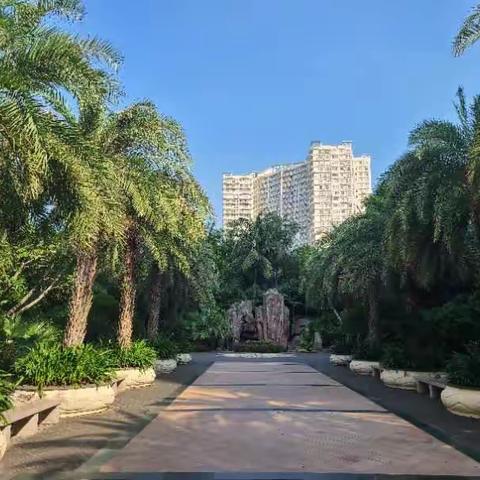海岸名都2020年8月份工作汇报