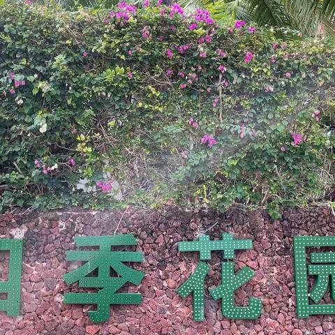 四季花园物业2022年2月工作简报