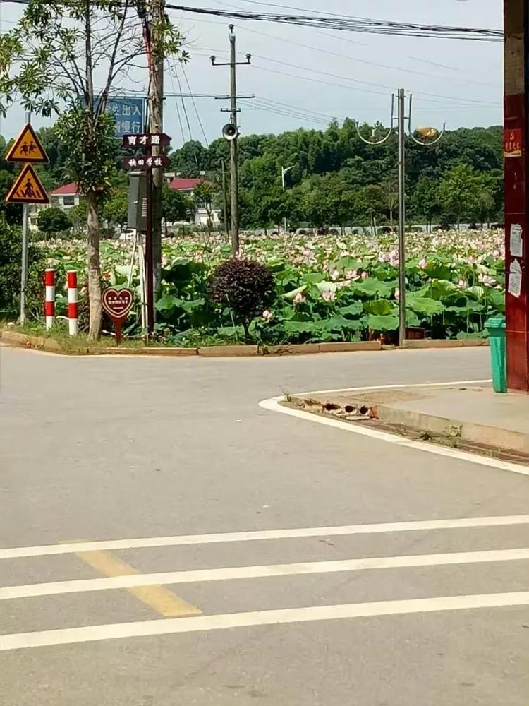 浏阳秧田村,又叫博士村,这里的基础建设的规范,民风淳朴能体现出一个