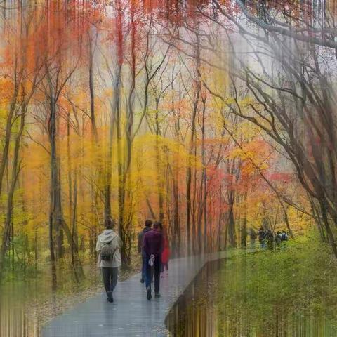 行摄枫宴-东北内蒙