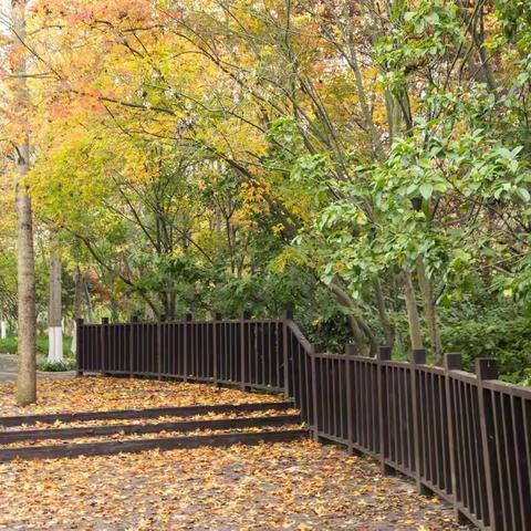 南京明孝陵秋色