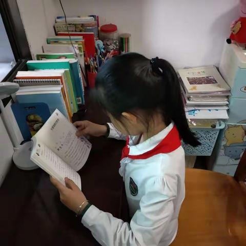 蓝色风铃的美篇