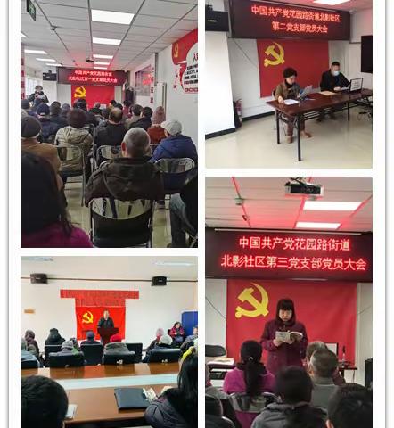 【老骥伏枥，志在千里】~花园路街道北影社区圆满完成二级党支部换届工作
