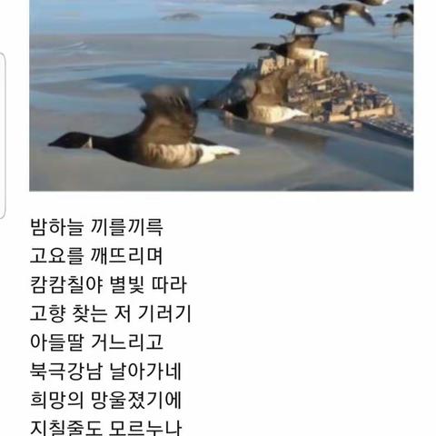 아지랑은 봄