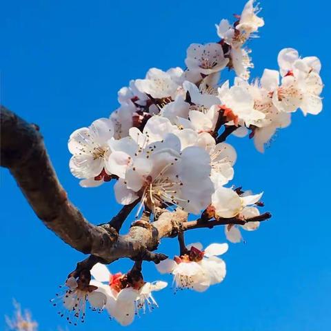 봄,여름,가을,겨울