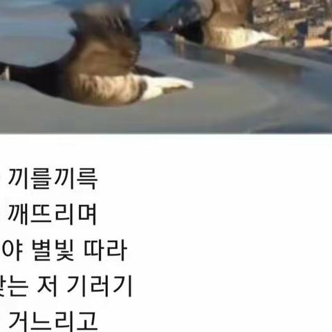 아장아장 봄이 와요