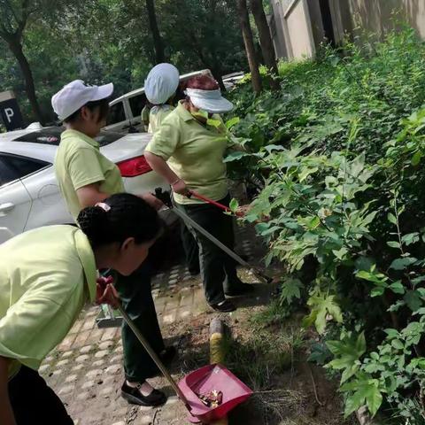 美丽家园、你我共建！白桦林间组织开展园区卫生死角大清理
