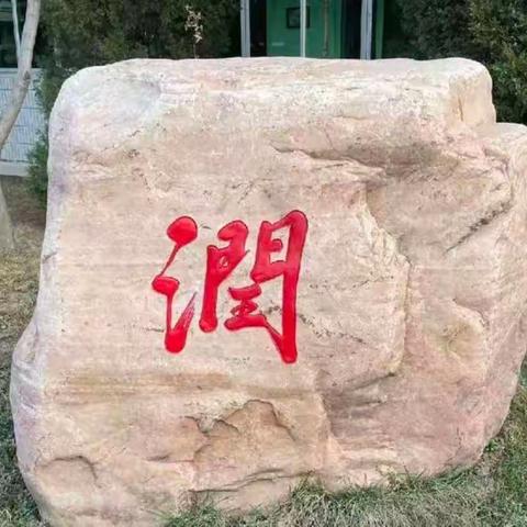 “兔”飞猛进贺新春 特色作业享“双减” 润城完小二年级组寒假创意作业展