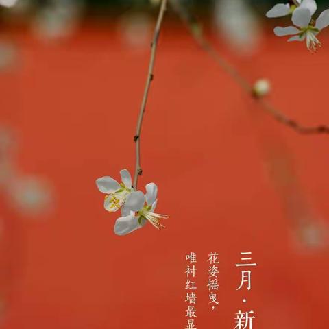 抗“疫”不停学，爱与我相伴