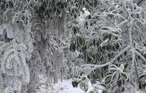 乌龙山的雪景