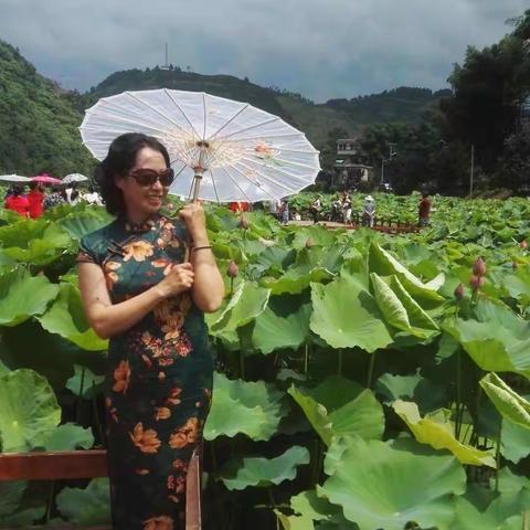 《我的故事    未完待续》(八)