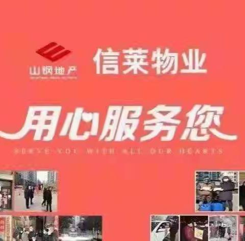 鸿悦华府项目周总结（2022.11.7-11.13）