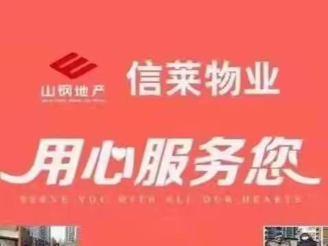 鸿悦华府项目周总结（2022.10.24-10.30）