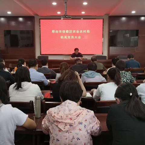 弘扬伟大建党精神，强化为民服务情怀，推动“三农”工作高质量赶超发展