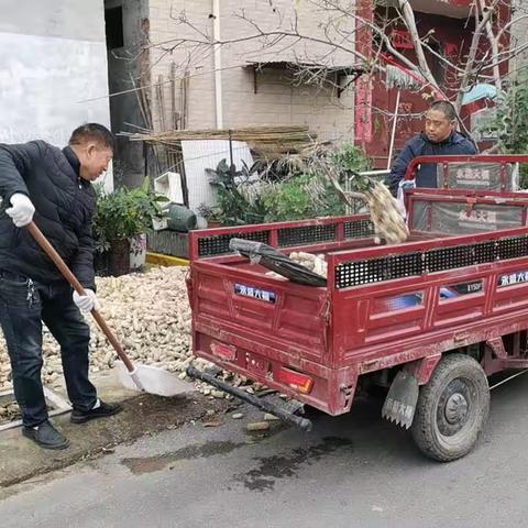 豆芽🍓的美篇