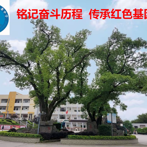喜迎党的二十大 携手香中向未来——记香龙中学2022年重阳节活动