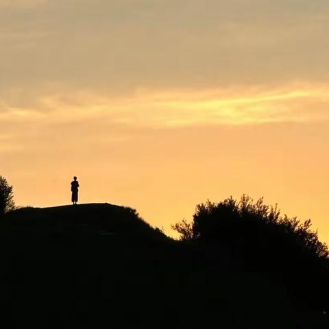 桃山观夕阳