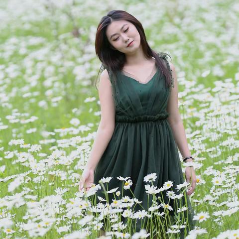 素花素颜现芳容