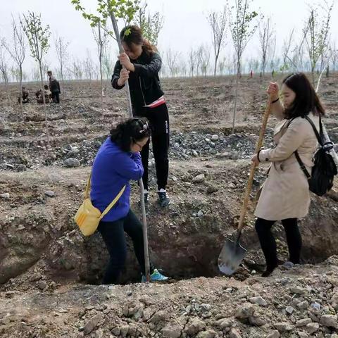 种下绿色，拥抱春天