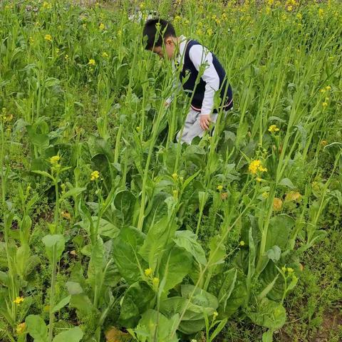 给蜗牛安个家