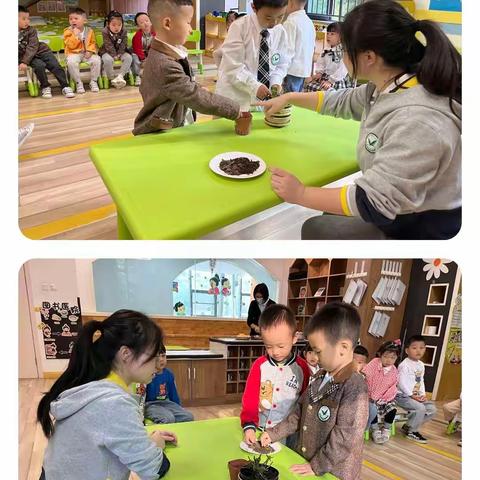 大D班10月主题活动《土中寻宝》