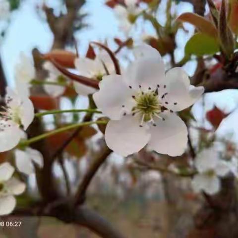 家校协同育人，助力健康成长—乐陵市阜欣小学收看直播纪实