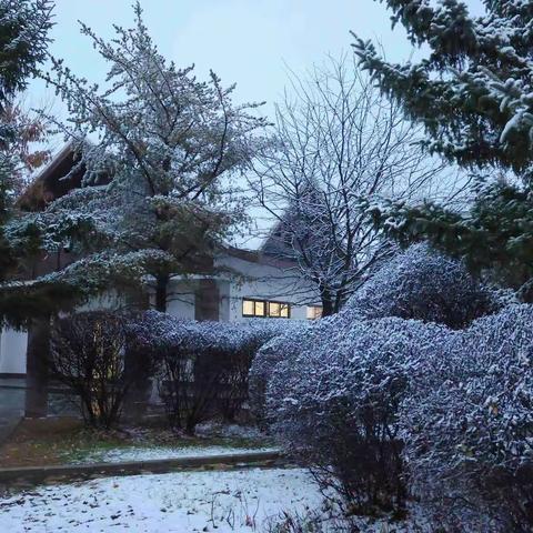 我的家乡雪后很美