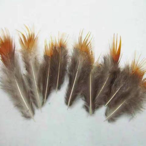 一年级——吹鸡毛