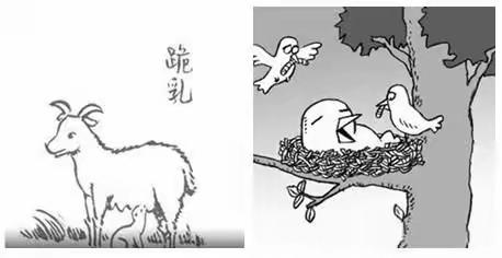 羊有跪乳之恩，鸦有反哺之义。