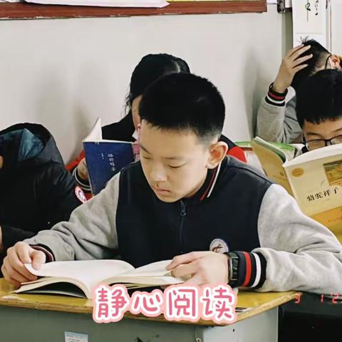 眼眸有星辰，心中有山海—初二15班总结2023.2.27-3.3