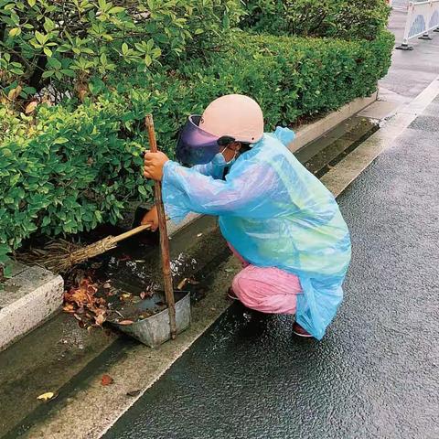 闻“风”而动，泰州楹泰全力坚守