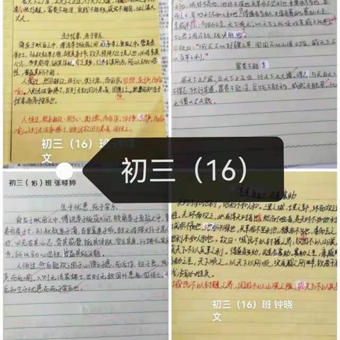 搭建“空中课堂，学习永不止步—初三语文备课组第八周活动记录