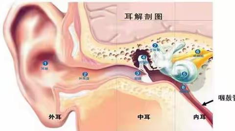 脑鸣