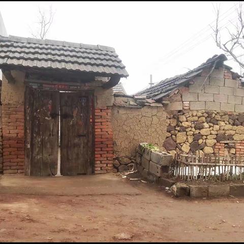 梦中的故乡—致我的兄弟友兰