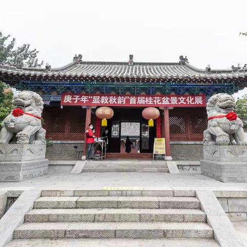 庚子年“显教秋韵”首届桂花盆景文化展