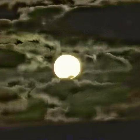 十四的月儿也很圆 用P40pro四种模式拍月亮