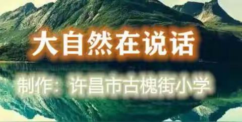 许昌市古槐街小学“世界地球日”活动之为“大自然在说话”配音