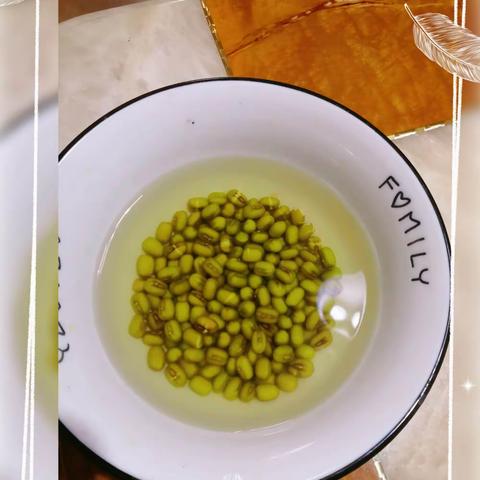 绿豆芽生长日记