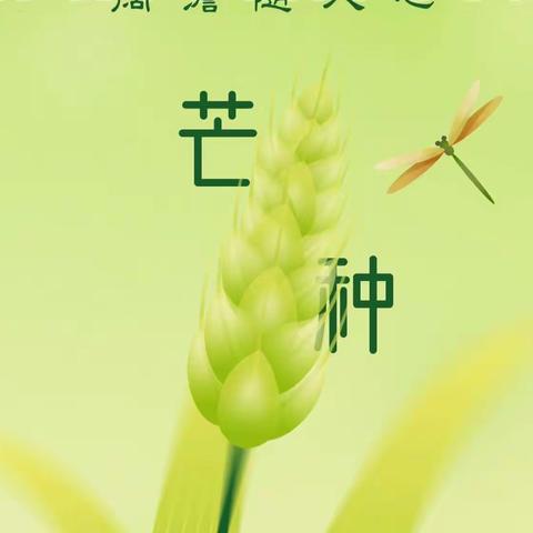 仲夏至 芒种忙——雁塔区北沈家桥小学二十四节气之“芒种”主题实践活动