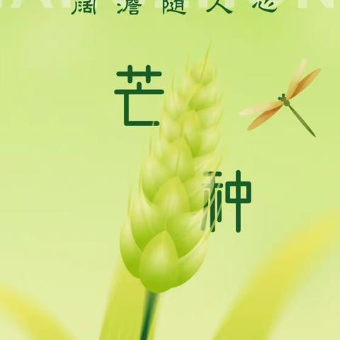 “芒”忙碌碌， “种”有所获 ——北沈家桥小学二十四节气之“芒种”系列主题活动报道