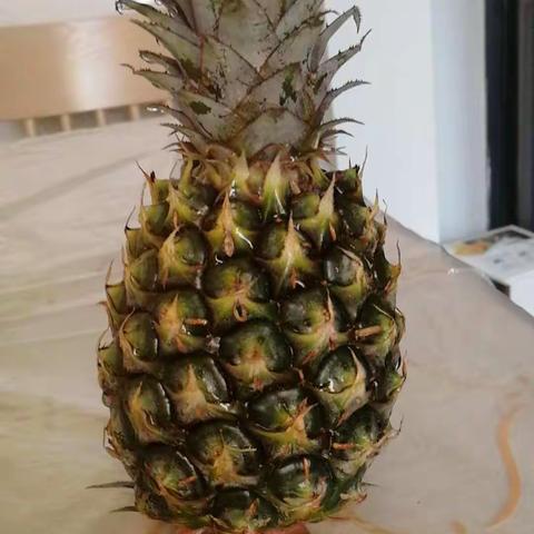随手记