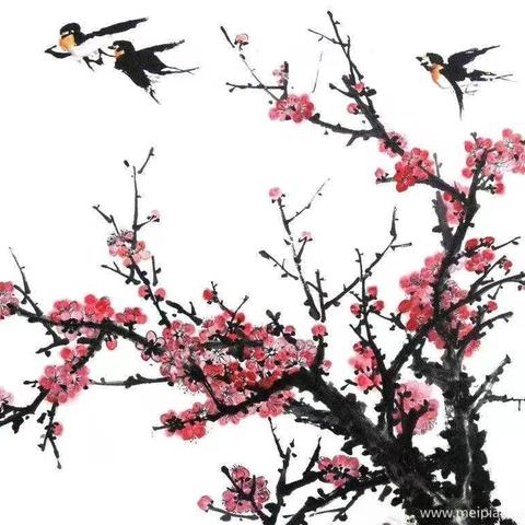 (2019年朋友圈)我在朋友圈记录生活、记录美好！