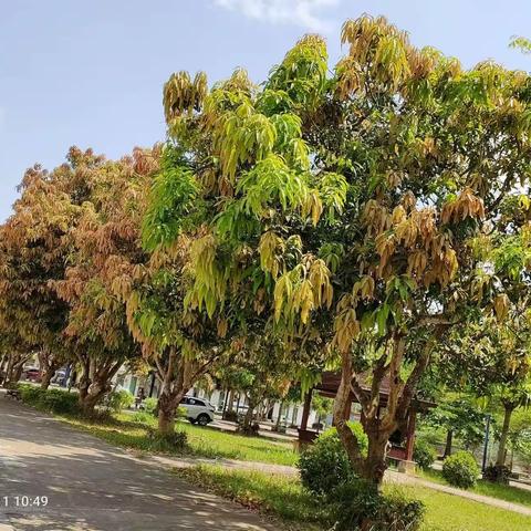 星梦之声——文儒中学演讲与口才社团招生开始啦