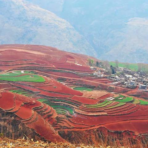滇东三田四林百花游  之二