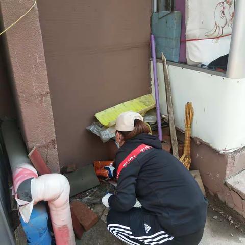 万新街道虎万路社区开展鼠药投放工作